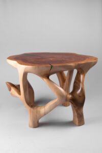 Domus, Sculptural Coffee Table Carved From Solid Wood, gallery view 6