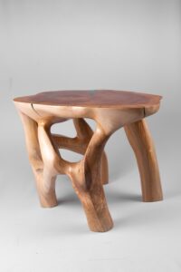 Domus, Sculptural Coffee Table Carved From Solid Wood, gallery view 8