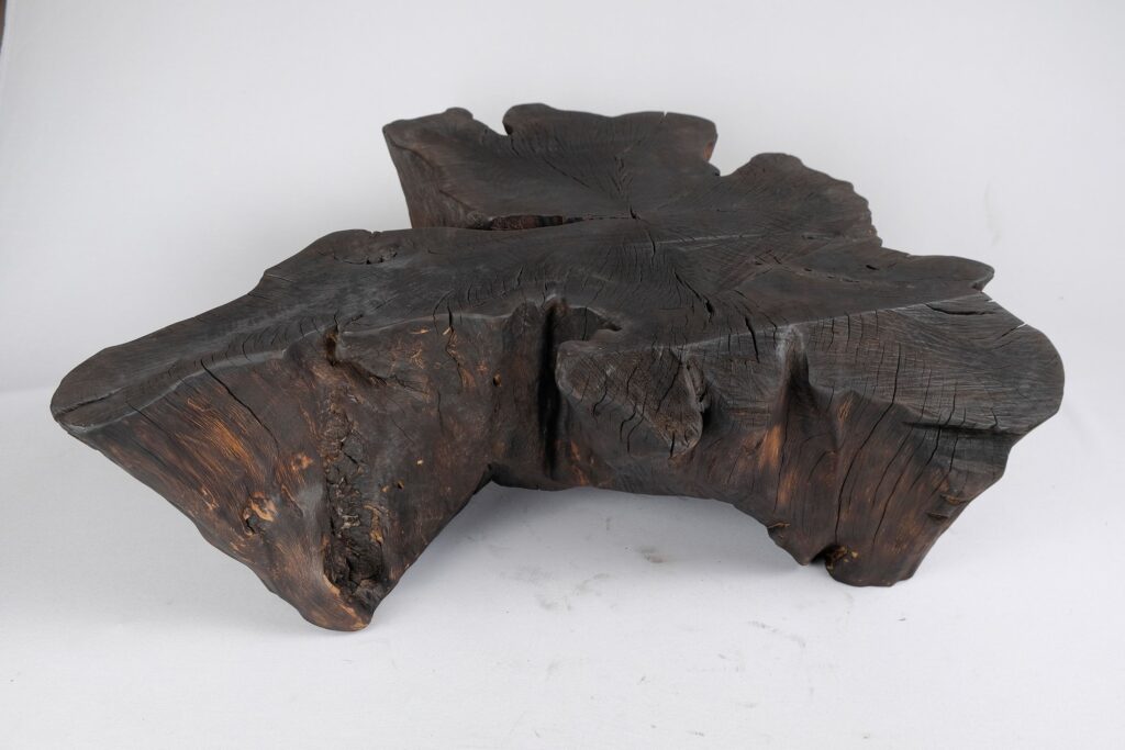 Jownik, Charred Rootform Coffee Table