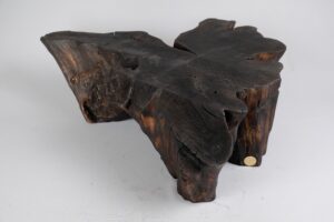 Jownik, Charred Rootform Coffee Table, gallery view 3