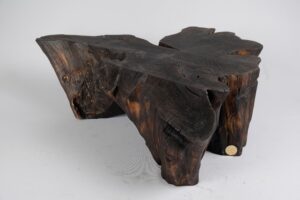 Jownik, Charred Rootform Coffee Table, gallery view 4