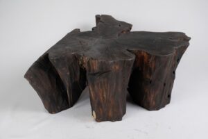 Jownik, Charred Rootform Coffee Table, gallery view 5
