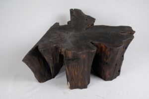Jownik, Charred Rootform Coffee Table, gallery view 6