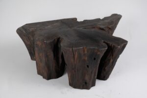 Jownik, Charred Rootform Coffee Table, gallery view 8