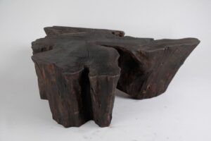 Jownik, Charred Rootform Coffee Table, gallery view 9