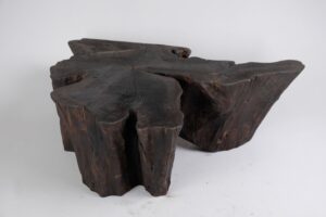 Jownik, Charred Rootform Coffee Table, gallery view 10