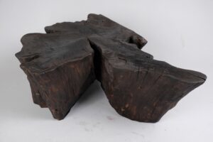 Jownik, Charred Rootform Coffee Table, gallery view 11