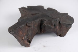Jownik, Charred Rootform Coffee Table, gallery view 14