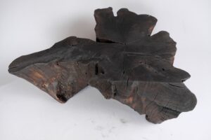Jownik, Charred Rootform Coffee Table, gallery view 16