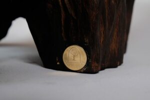 Jownik, Charred Rootform Coffee Table, gallery view 17