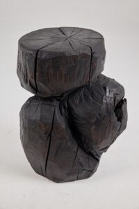 Jownik, Charred Monolith Side Table– Primal Form, Sculpted From Solid Wood, gallery view 10