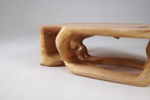 Domus, Sculptural Low Table Carved From Solid Wood, gallery view 14