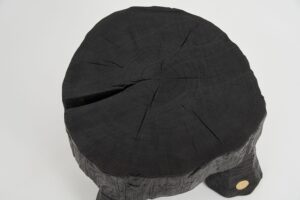 Jownik, Charred Round Coffee Table, gallery view 12