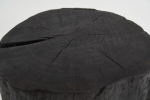 Jownik, Charred Round Coffee Table, gallery view 13