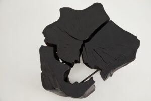 Jownik, Charred Round Coffee Table, gallery view 9