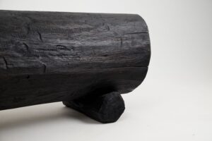 Jownik, Charred Hollow Log Bench – Primitive Form, Bold Presence, gallery view 15