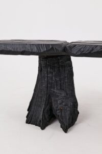 Jownik, Charred Wood Bench - Sculptural Form & Organic Flow, gallery view 4