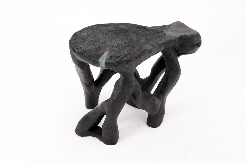 Rustic Sculptural Coffee Table, Burnt Black Wood, Carved, Unique, Logniture