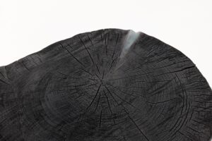 Rustic Sculptural Coffee Table, Burnt Black Wood, Carved, Unique, Logniture, gallery view 6