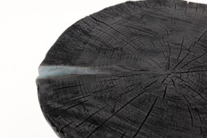 Rustic Sculptural Coffee Table, Burnt Black Wood, Carved, Unique, Logniture, gallery view 13