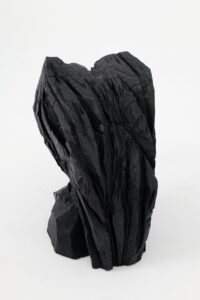 White-Headed Gull, Chainsaw Carved, Burnt Oak Abstract Sculpture,, gallery view 8