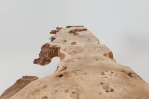 Live-Edge Burl Wood Console Table, Organic Modern, Handmade, gallery view 6