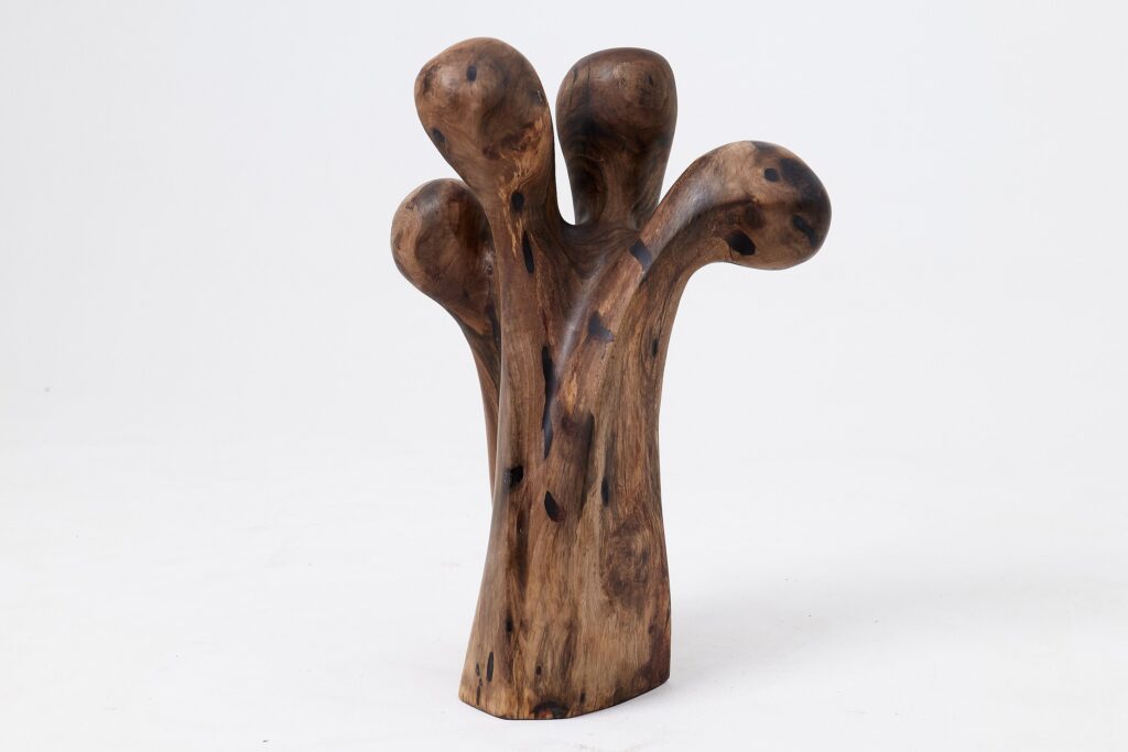 Still Stand Abstract Wood Sculpture, Chainsaw Carved, Walnut