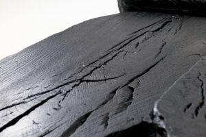 Sculptural Coffee Table, Rustic, Burnt Black Wood, Carved, Handmade, gallery view 8